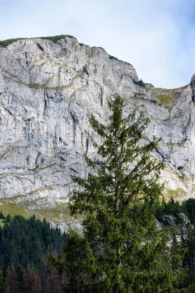 Munții carpați slovaci toamna cu păduri verzi — Fotografie, imagine de stoc