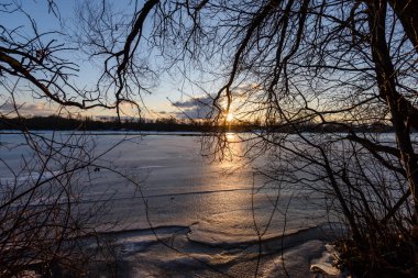 Ağaçların arasından gelen ışık ışınları ile renkli kış günbatımı
