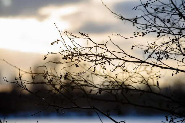 Colorido atardecer de invierno sobre hielo congelado río fondo borroso — Foto de Stock