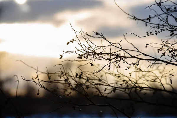 Colorido atardecer de invierno sobre hielo congelado río fondo borroso — Foto de Stock