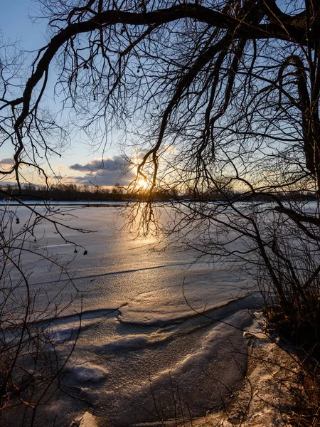 나무를 통해 오는 빛을 광선으로 다채로운 겨울 일몰 — 스톡 사진