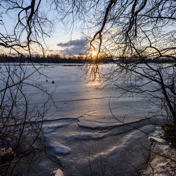 나무를 통해 오는 빛을 광선으로 다채로운 겨울 일몰 — 스톡 사진