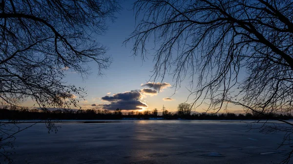 Colorful winter sunset with light rays coming through the trees — Stock Photo, Image