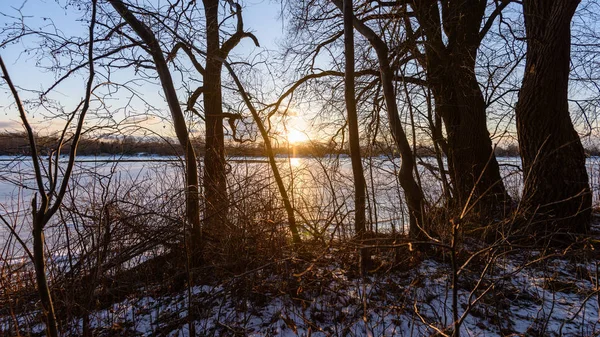 五彩缤纷的冬日日落, 光线透过树木而来 — 图库照片