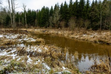 karla kaplı orman tarafından dondurulmuş kırlarda