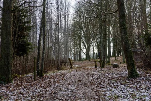 Lado do país congelado pela floresta coberta de neve — Fotografia de Stock