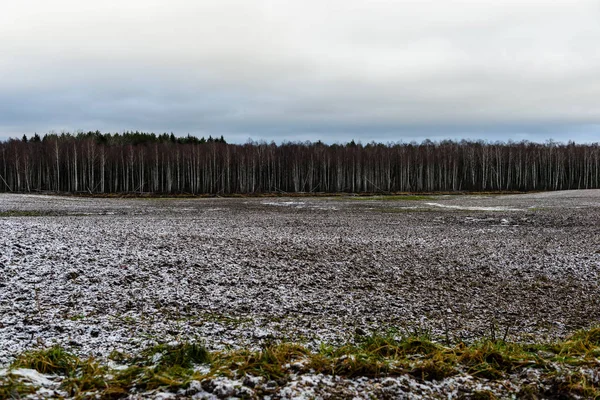 Замерзшая земля рядом с покрытым снегом лесом — стоковое фото