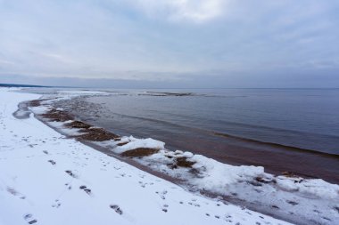 Donmuş buz kristalleri deniz sahilde