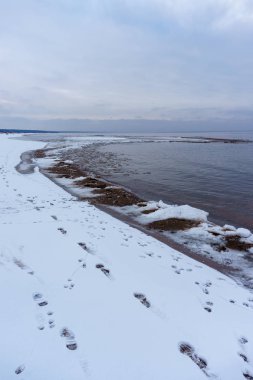 Donmuş buz kristalleri deniz sahilde