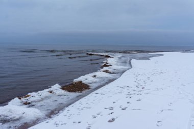 Donmuş buz kristalleri deniz sahilde