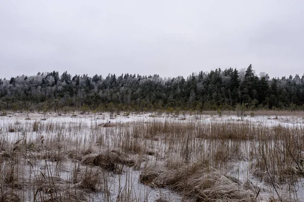 Mrożone wioseczka przez las, pokryte śniegiem — Zdjęcie stockowe