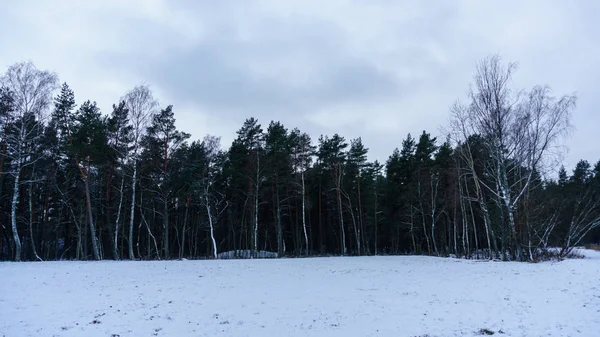 Zmrazené krajiny u moře — Stock fotografie