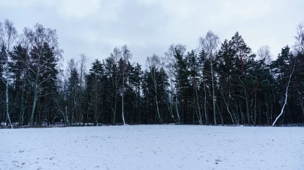 Zmrazené krajiny u lesa, pod sněhem — Stock fotografie
