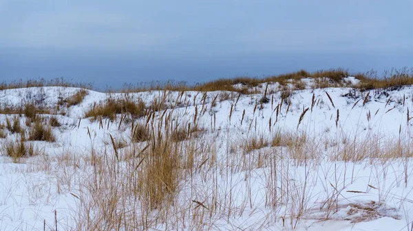 Замерзшая страна на берегу моря — стоковое фото