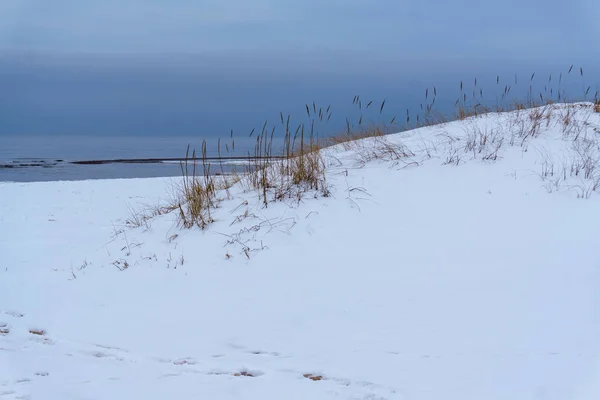 Côté campagne gelé au bord de la mer — Photo