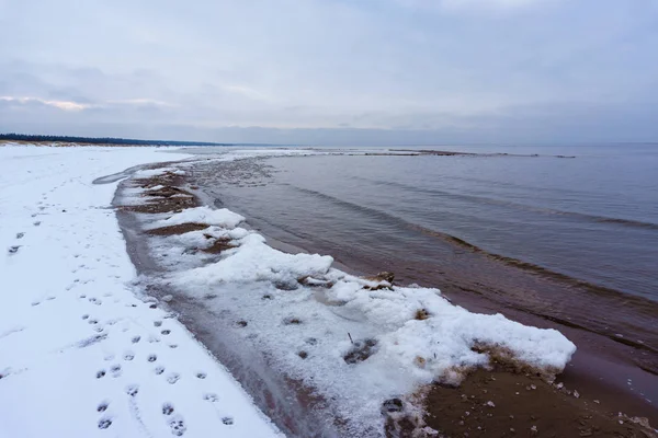 Заморожені кристали льоду на морському пляжі — стокове фото