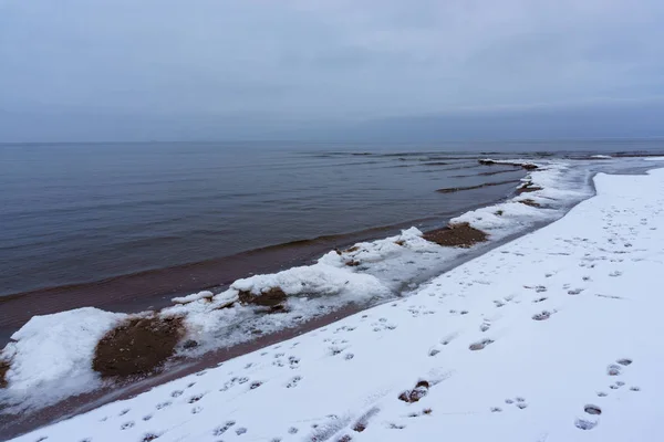 Cristales de hielo congelados en la playa del mar —  Fotos de Stock