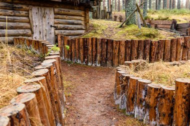 meşe ağaçları ile kır evi 