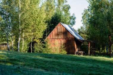 meşe ağaçları ile kır evi 