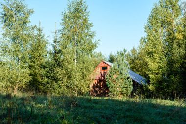 meşe ağaçları ile kır evi 