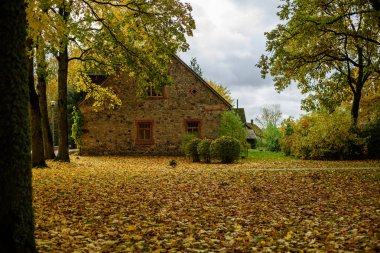 meşe ağaçları ile kır evi 