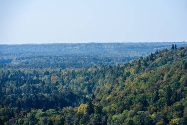 Sisli ormanın panoramik görünüm