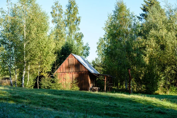 Загородный дом с дубами — стоковое фото