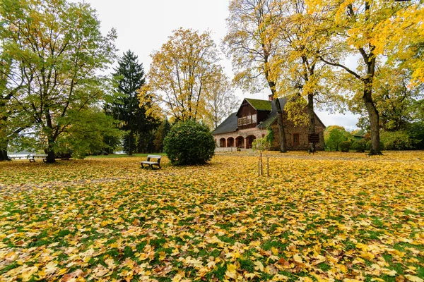meşe ağaçları ile kır evi 