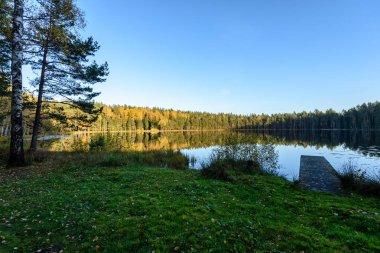 Sonbaharda dağ nehri