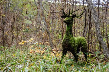 Park ahşap hayvan figürleri ile sonbahar renkli ağaçlar