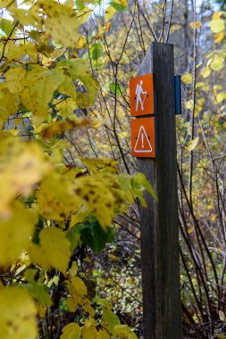 sonbahar renkli ağaçlar işaretleme turist iz işareti ile parkta
