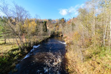 Sonbaharda dağ nehri