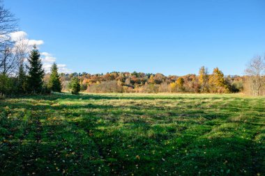 parkta sonbahar renkli ağaçlar
