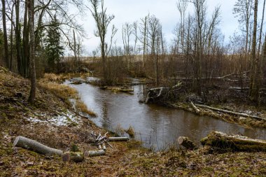 Sonbaharda dağ nehri
