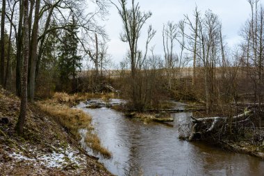 Sonbaharda dağ nehri
