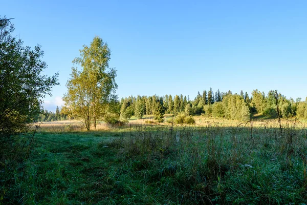 Herfst gekleurde bomen in het park — Stockfoto