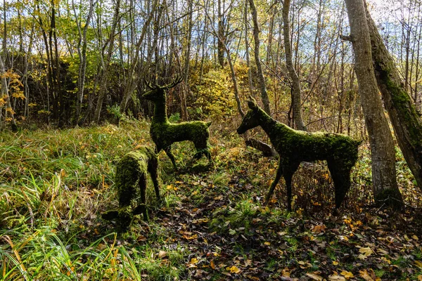 Park ahşap hayvan figürleri ile sonbahar renkli ağaçlar — Stok fotoğraf