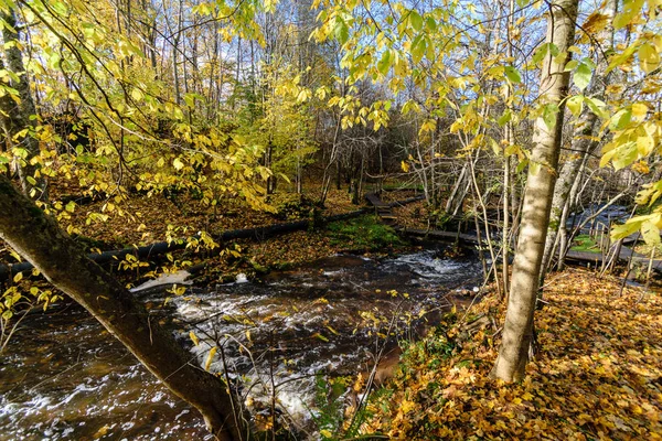 Mountain river in autumn — Stock Photo, Image