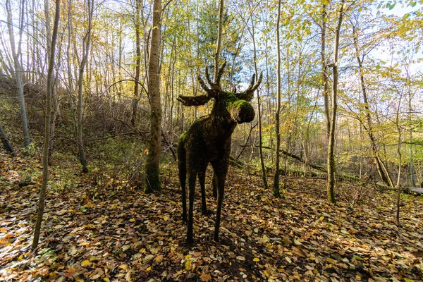 Árboles de colores otoñales en el parque con figuras de animales de madera —  Fotos de Stock