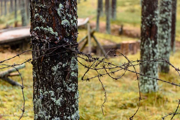 Vecchie trincee in legno in Lettonia — Foto Stock