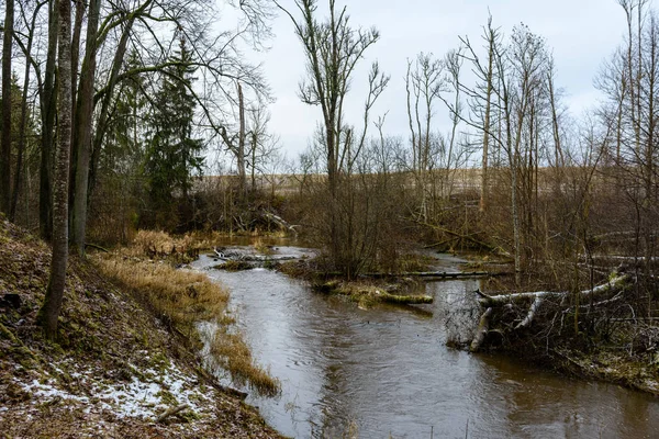 Sonbaharda dağ nehri