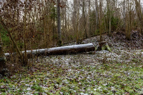 Scène rurale d'hiver avec route fermée — Photo