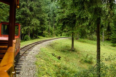Demiryolu içinde ıslak yaz günü vintage tren c ile ormandaki izler