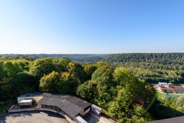 sonbahar renkli ağaçlar ve şehir rooftops