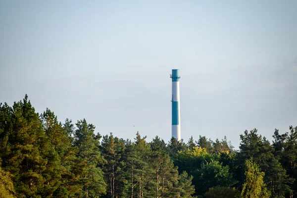 Färgade höstträd och stadens takåsar — Stockfoto