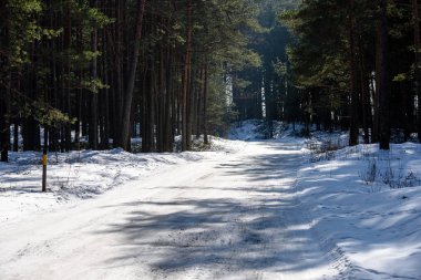 karlı kış yol derin karla kaplı