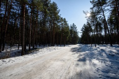 karlı kış yol derin karla kaplı