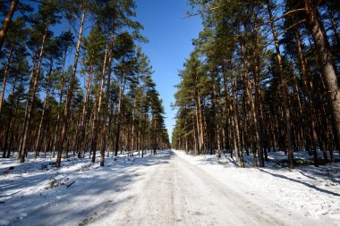 karlı kış yol derin karla kaplı