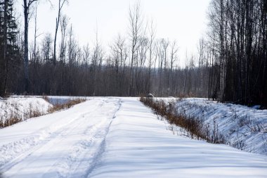karlı kış yol derin karla kaplı