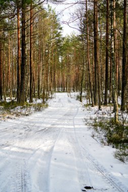 karlı kış yol derin karla kaplı